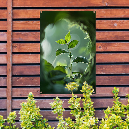 Jonge plant in het zonlicht tuinposter