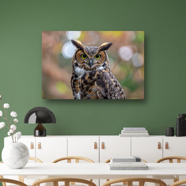 Alert Oog van de Natuurlijke Uil poster
