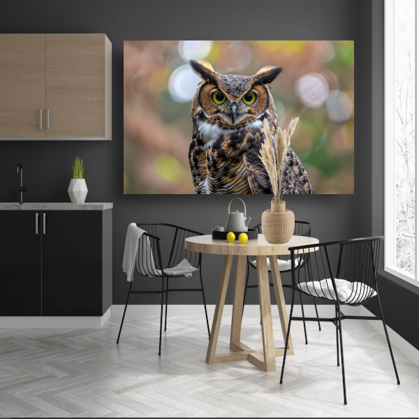 Alert Oog van de Natuurlijke Uil poster