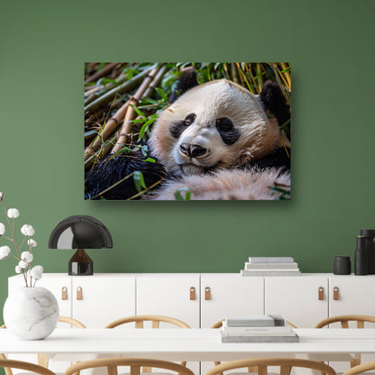 Slapende panda te midden van bamboe canvas