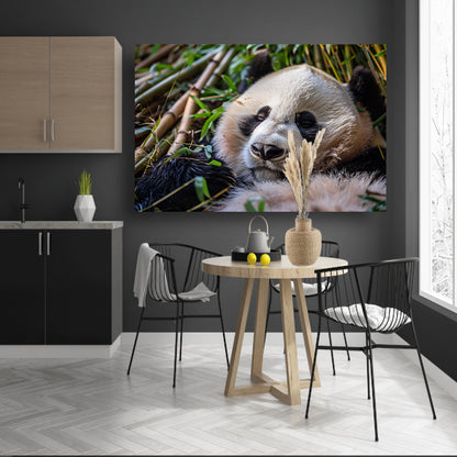 Slapende panda te midden van bamboe canvas