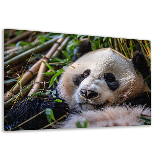 Slapende panda te midden van bamboe canvas