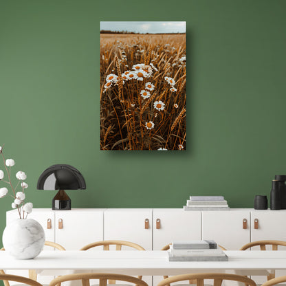 Margrieten in een Gouden Korenveld canvas