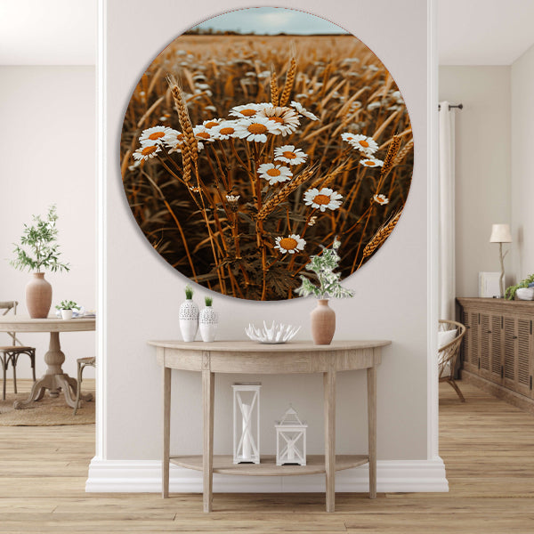 Margrieten in een Gouden Korenveld aluminium muurcirkel