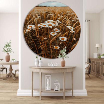 Margrieten in een Gouden Korenveld aluminium muurcirkel