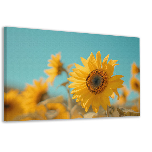 Veld vol zonnebloemen onder helderblauwe hemel canvas