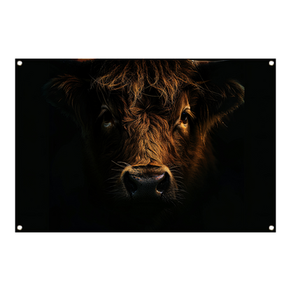 Schotse hooglander in duister lichtspel tuinposter