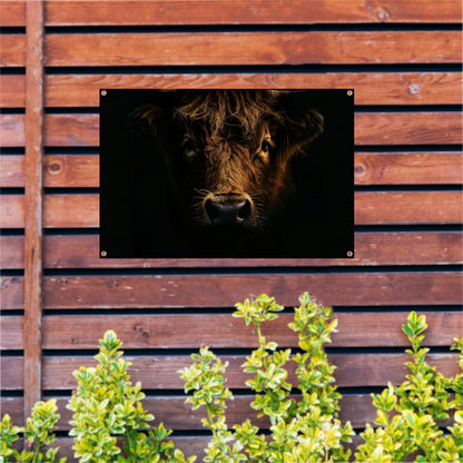 Schotse hooglander in duister lichtspel tuinposter