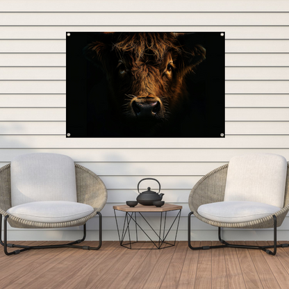Schotse hooglander in duister lichtspel tuinposter