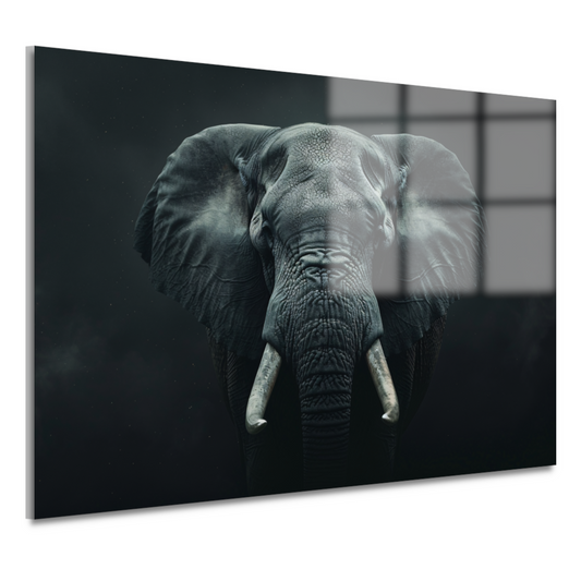 Olifant in het Duister met Slagtanden acrylglas