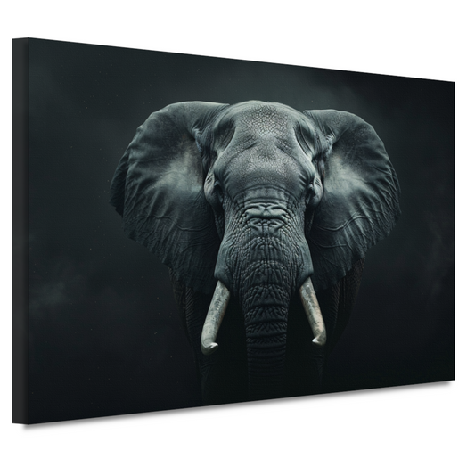 Olifant in het Duister met Slagtanden canvas