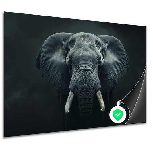 Olifant in het Duister met Slagtanden poster
