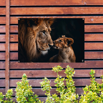 Intiem moment tussen leeuw en welp tuinposter