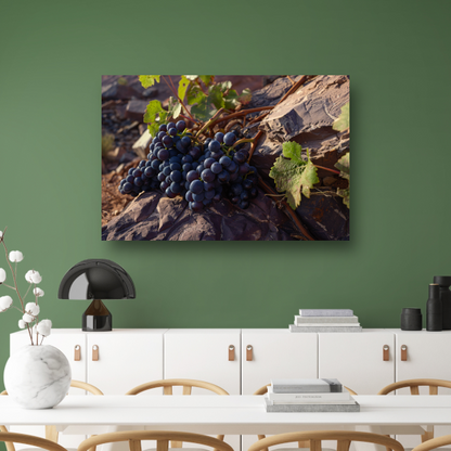 Rijpe druiventrossen op stenen ondergrond canvas