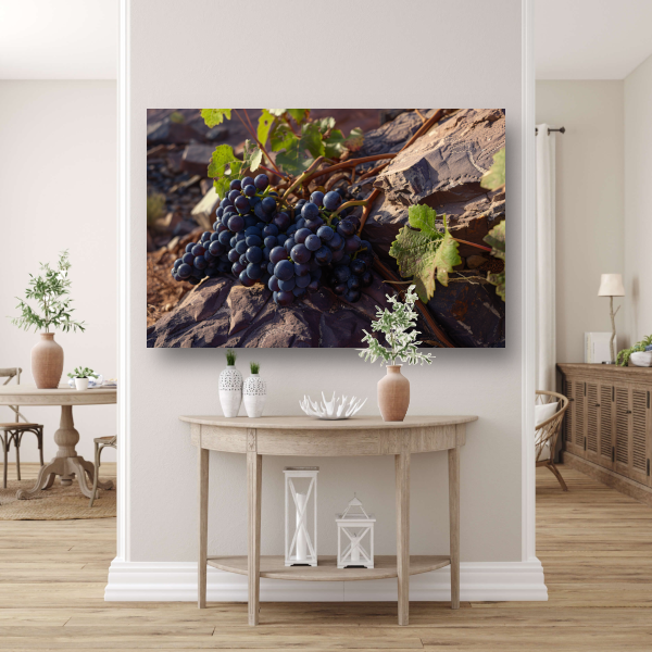Rijpe druiventrossen op stenen ondergrond canvas