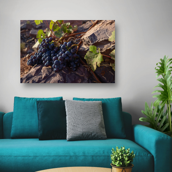 Rijpe druiventrossen op stenen ondergrond canvas