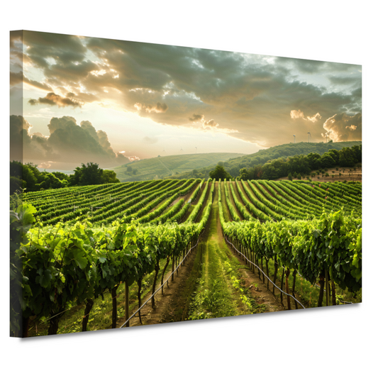 Zonsondergang in de Lush Wijngaard Heuvels canvas