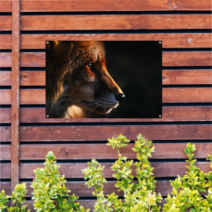 De starende blik van een schuwe vos tuinposter
