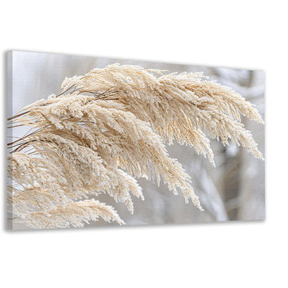 Bevroren grasstelen met winterse ijskristallen canvas