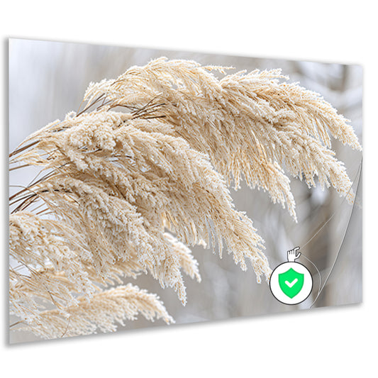 Bevroren grasstelen met winterse ijskristallen poster