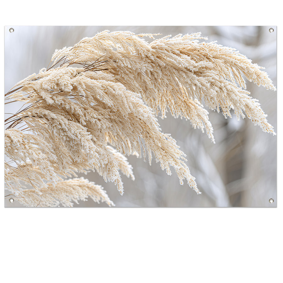Bevroren grasstelen met winterse ijskristallen tuinposter
