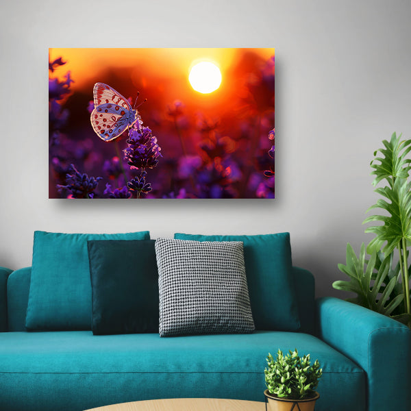 Vlinder rust op lavendel in oranje zonsondergang canvas met baklijst
