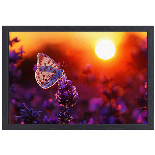 Vlinder rust op lavendel in oranje zonsondergang canvas met baklijst