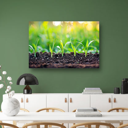 Ontkiemende spruiten in voedzame aarde poster