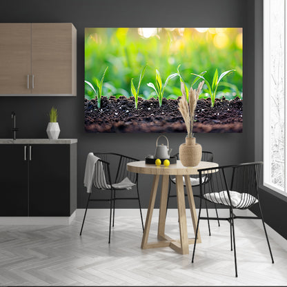 Ontkiemende spruiten in voedzame aarde poster