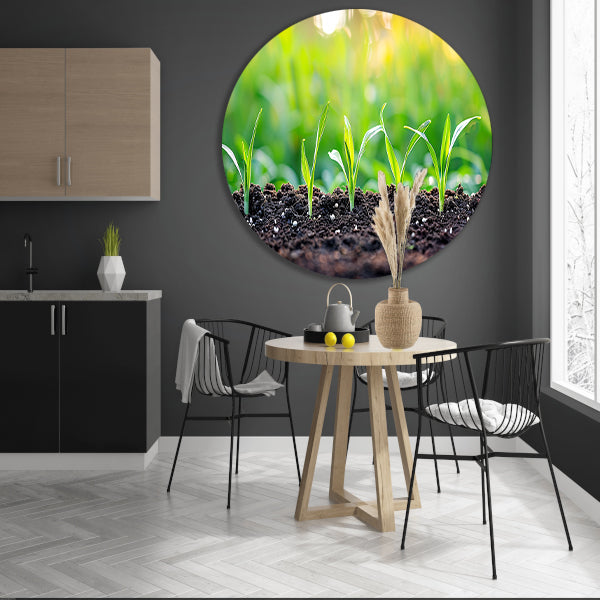Ontkiemende spruiten in voedzame aarde   forex muurcirkel