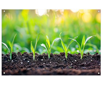 Ontkiemende spruiten in voedzame aarde   tuinposter