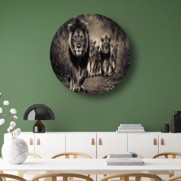 Leeuwenfamilie op savanne aluminium muurcirkel