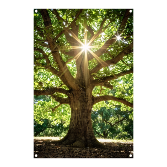 Zonnestralen door een majestueuze boom tuinposter