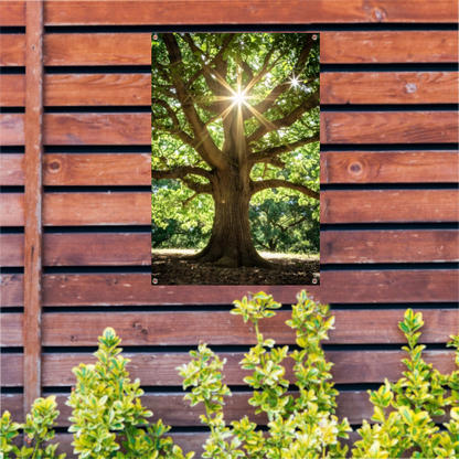 Zonnestralen door een majestueuze boom tuinposter