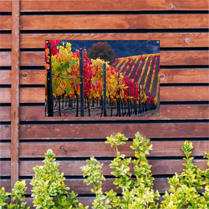 Wijngaard in Herfsttinten Panorama tuinposter