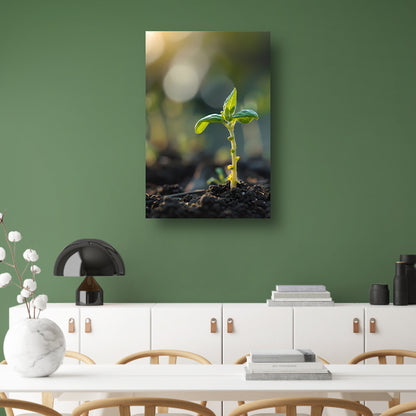 Jonge plant in ochtendzon acrylglas