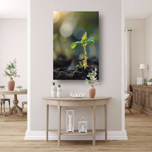 Jonge plant in ochtendzon acrylglas