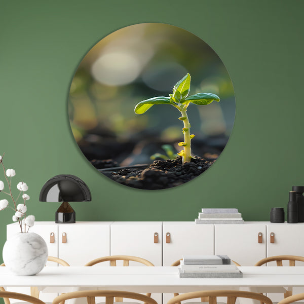 Jonge plant in ochtendzon aluminium muurcirkel