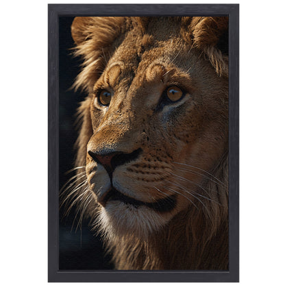 Close-up van leeuw met indringende blik canvas met baklijst