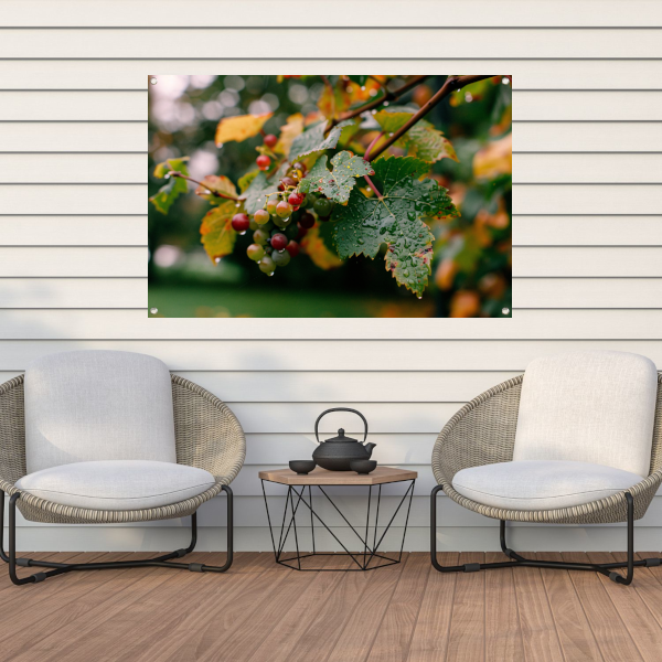 Druiventros met dauw in de herfstochtend tuinposter