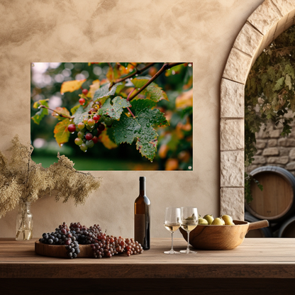 Druiventros met dauw in de herfstochtend tuinposter