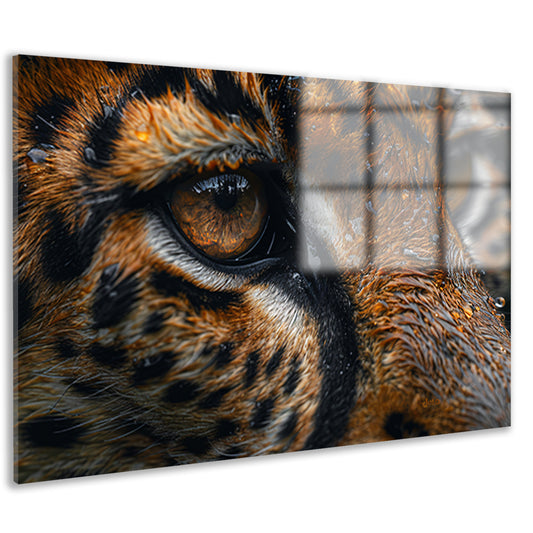 Gedetailleerde close-up van tijgeroog en vacht acrylglas