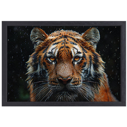 Regenbui op tijger canvas met baklijst