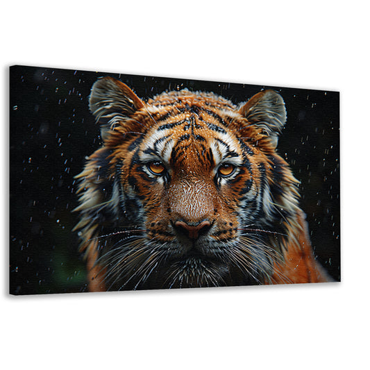 Regenbui op tijger canvas