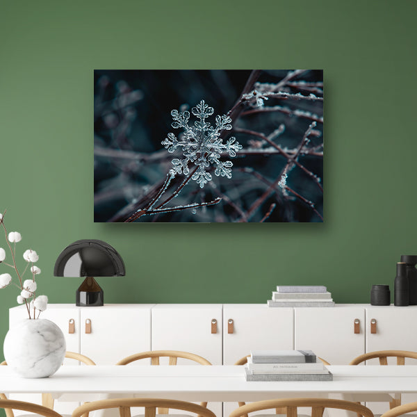 Gedetailleerde macrofoto van een sneeuwvlok   poster