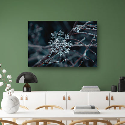 Gedetailleerde macrofoto van een sneeuwvlok   poster