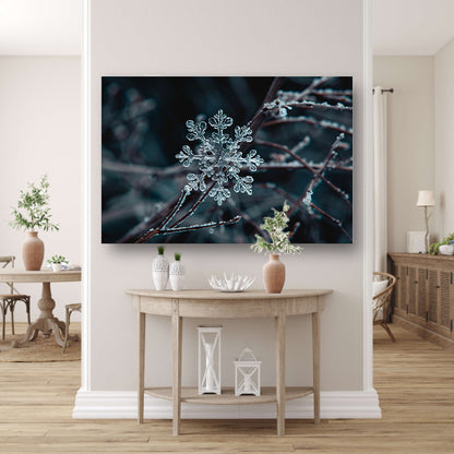 Gedetailleerde macrofoto van een sneeuwvlok   poster