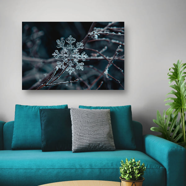 Gedetailleerde macrofoto van een sneeuwvlok   poster