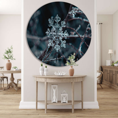 Gedetailleerde macrofoto van een sneeuwvlok   forex muurcirkel