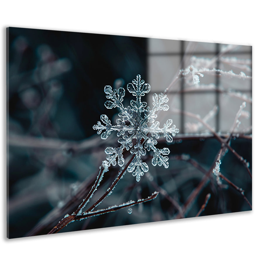 Gedetailleerde macrofoto van een sneeuwvlok   acrylglas
